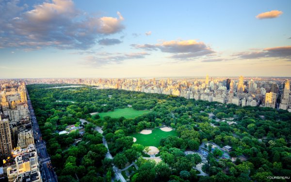 Централ парк Нью-Йорк
