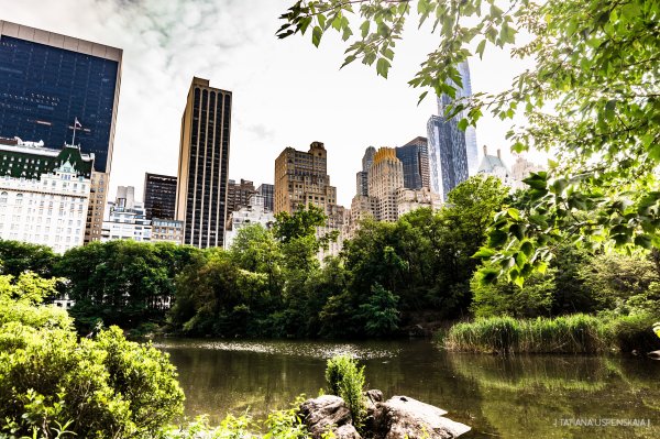 Кевин централ парк Нью Йорк