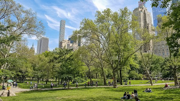 Центральный парк Нью-Йорк