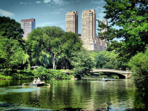 Централ парк Нью-Йорк озеро