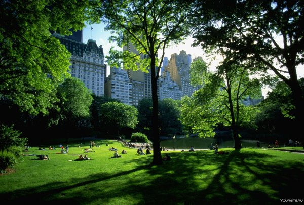 Форрест парк Нью-Йорк