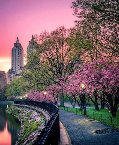 Городской парк Нью-Йорка