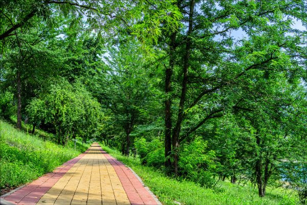 Майкоп весной