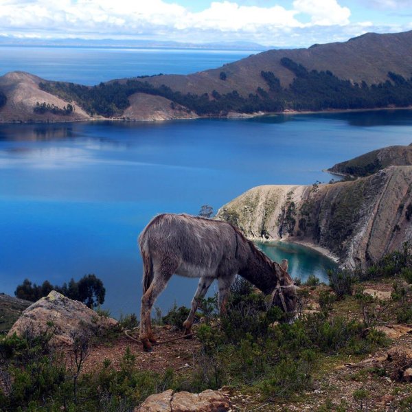 Озеро Титикака Перу