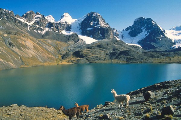 Долина Зонго Боливия