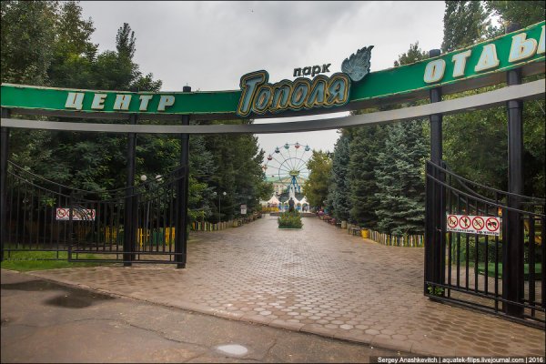 Парк тополя Оренбург официальный сайт