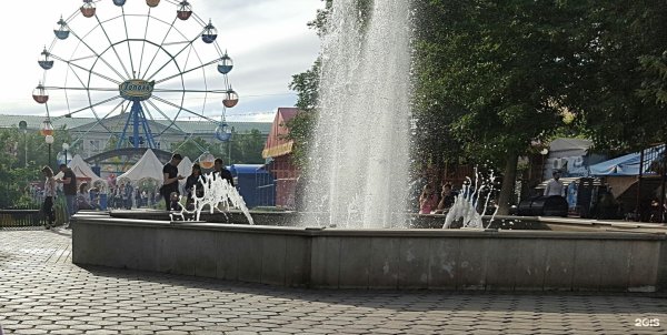 Оренбургский парк тополя