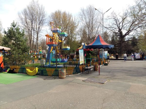 Парк тополя Оренбург