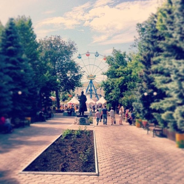 Тополя Оренбург