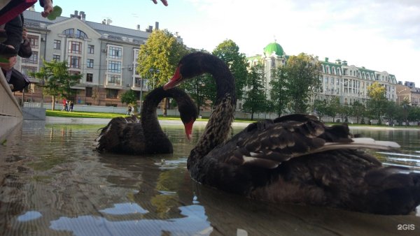 Чёрное озеро Казань 90