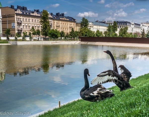 Чёрное озеро Казань летом