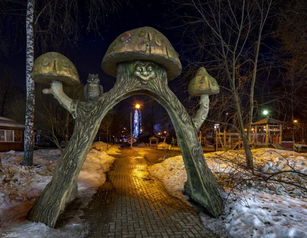 Мытищи парк, Мытищи