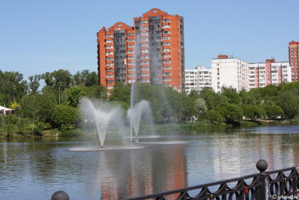 Парк города Мытищи