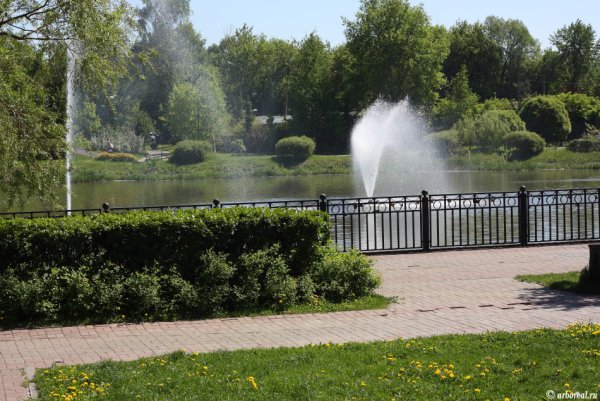 Мытищинский парк