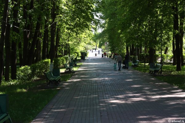 Мытищинский Центральный парк