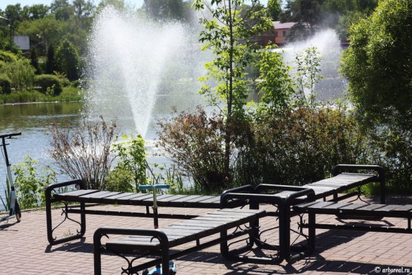 Мытищи парк лесопарк