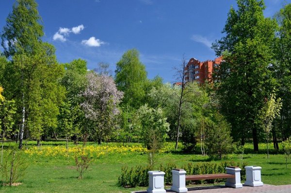 Лесопарк Мытищи