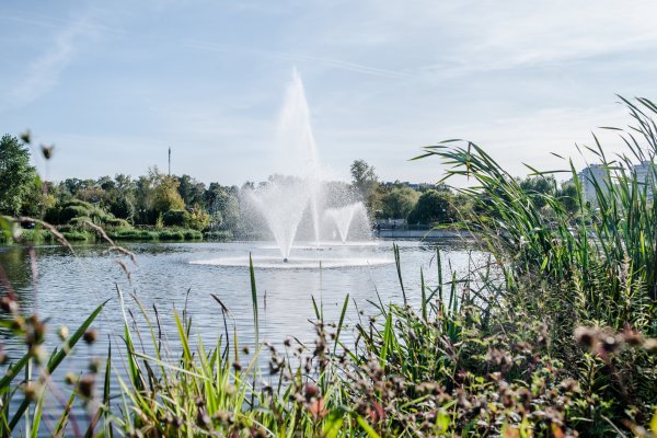 Мытищи парк лесопарк