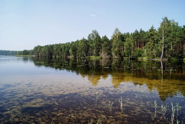 Озеро святое Ивановская область Южский район