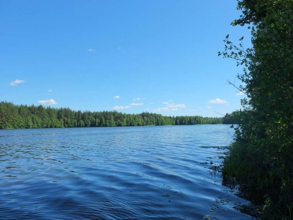 Святое озеро Южский район