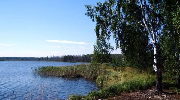 Озеро Западное Ивановская область Савинский район