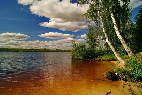 Озеро Ламское Южский район