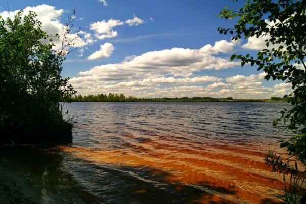 Ламское озеро Ивановская область