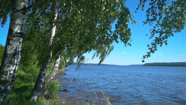 Река Иволга в Ивановской области
