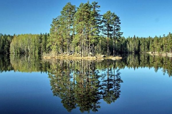 Озеро Ламское Южский район