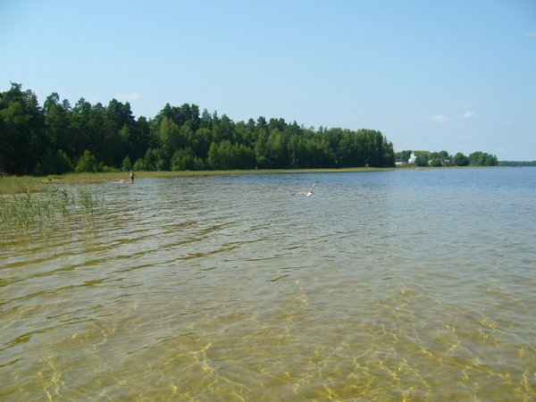 Святое озеро Ивановская область