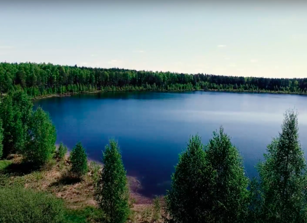 Козинское озеро Ивановская область