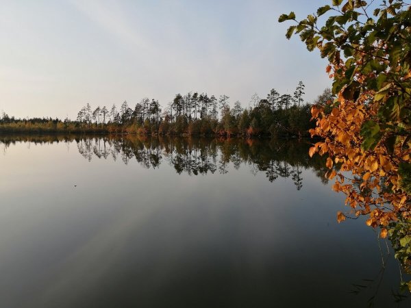 Озеро Нельша Южский район