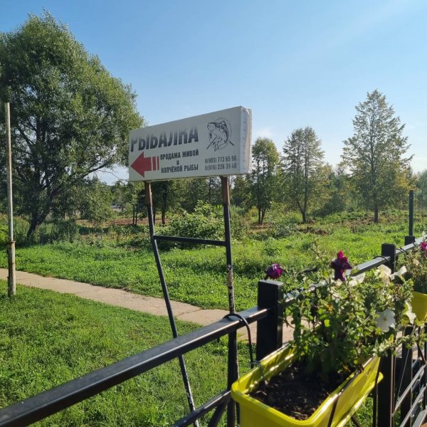 Софрино парк выпускной