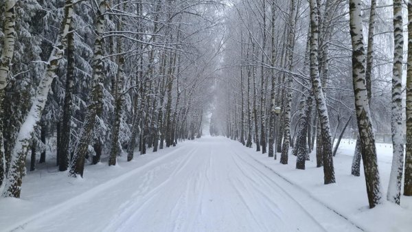 Софрино парк отель зимой