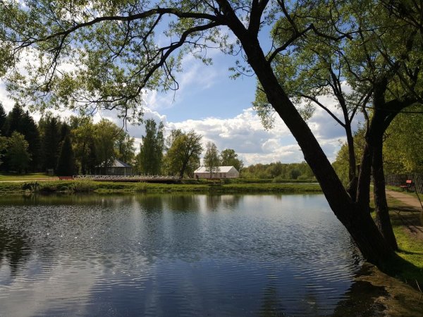Софрино парк Подмосковье