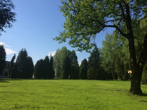 Софрино парк картинки