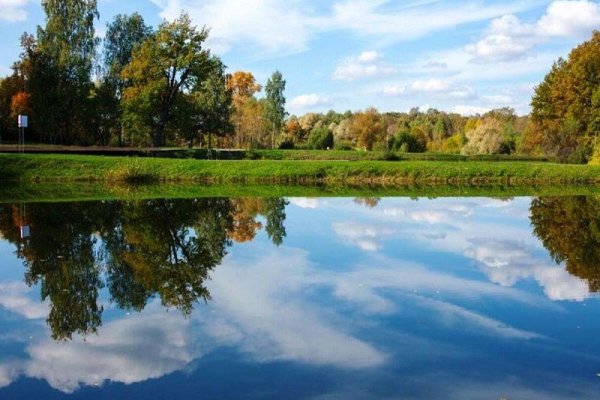 Софрино парк Пушкинский район