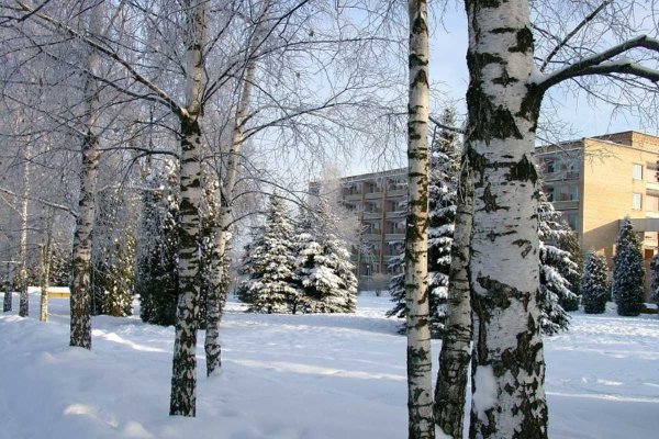 Софрино парк отель зимой