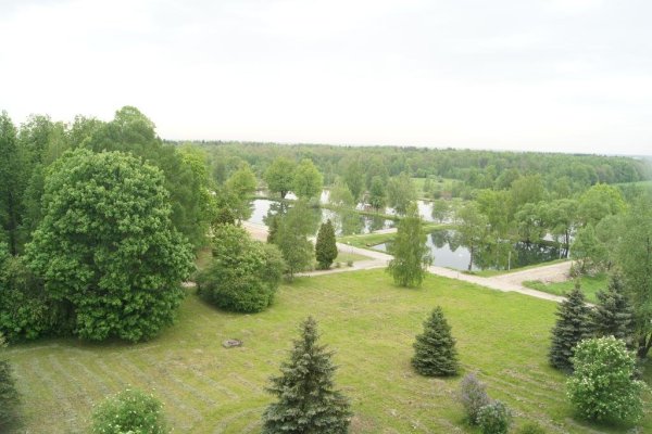 Софрино парк Пушкинский район