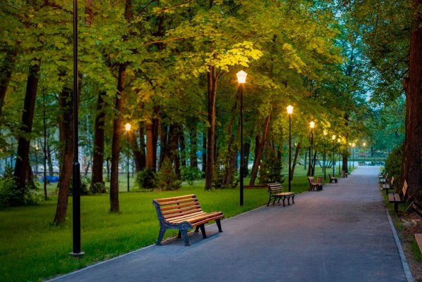 Софрино парк