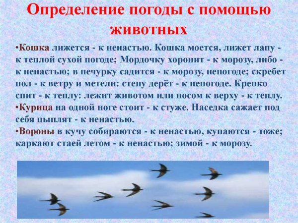 Приметы на погоду