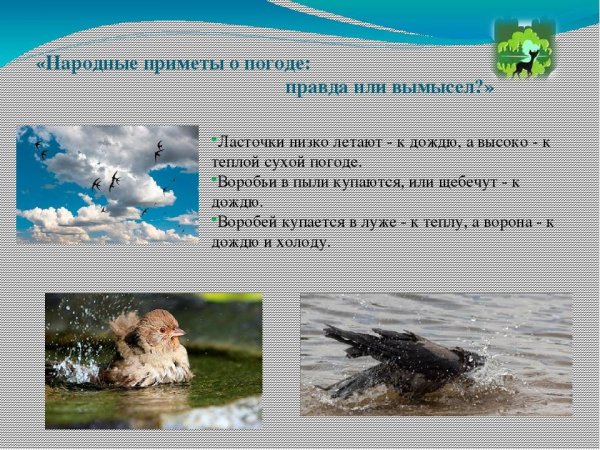 Народных примет о погоде