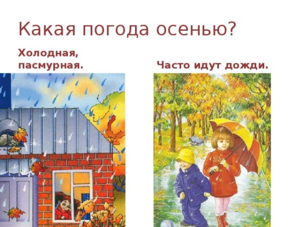 Осенью часто идут дожди