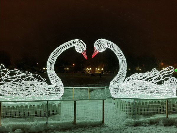 Белое озеро Томск 2022