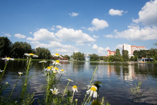 Белое озеро Томск осень