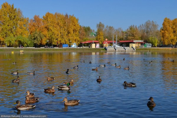 Белое озеро Томск парк