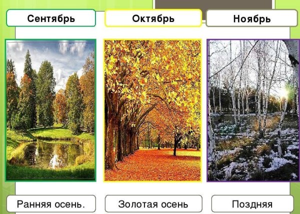 Признаки ранней и поздней осени для дошкольников