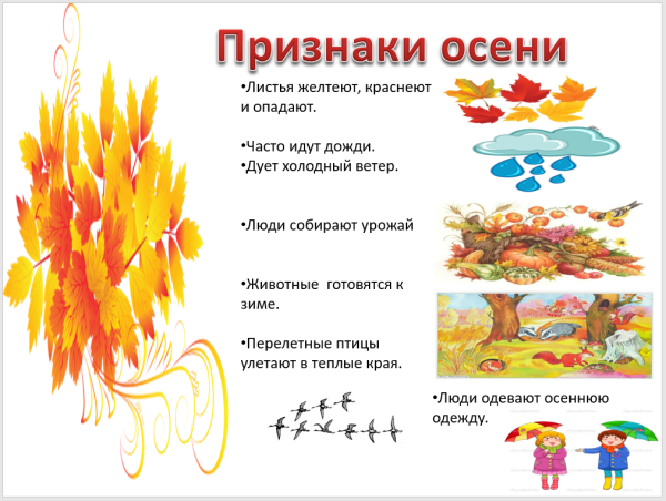 Осень признаки осени