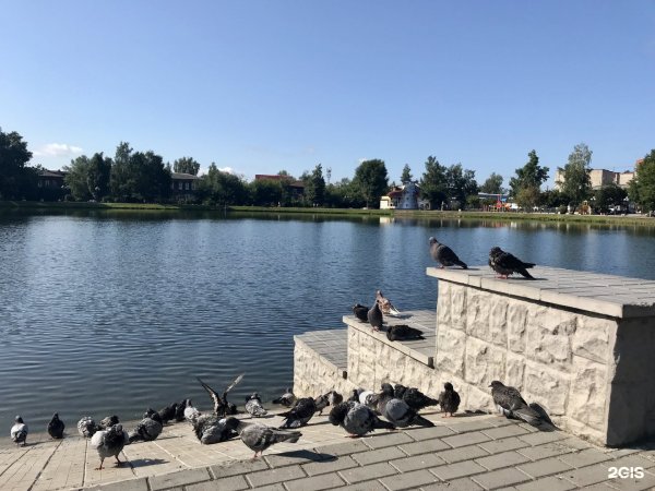 Памятник природы белое озеро Томск