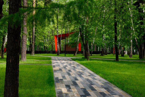 Парк Пехорка в Балашихе